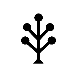 Solid Root Digital